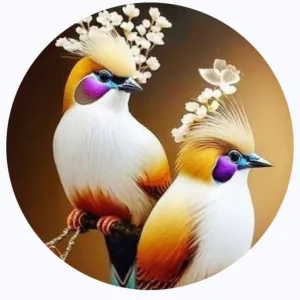 محمد نزار درعطاني