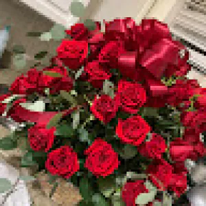 Sarh Ahmad