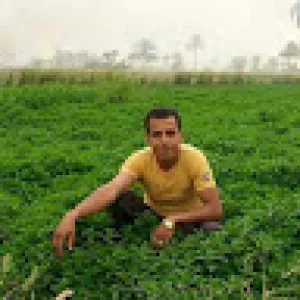 Saad fatouh Elsedawi (‫القناص‬‎)