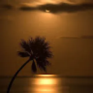 ابوعبيد شهاب