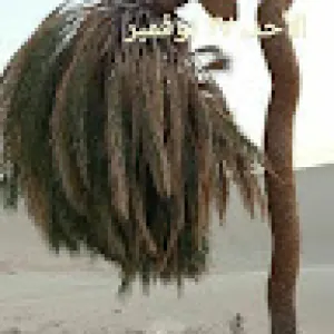 العربى اليبى