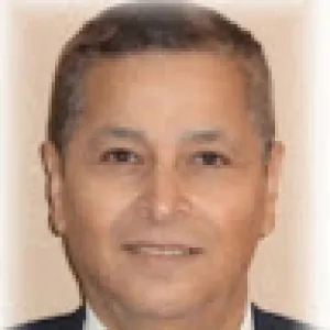 Diaa A.Monem