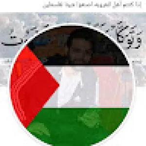 Mohamed Elswedy