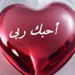 هشام أبو الخير