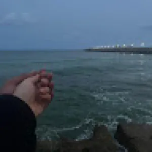 Mahmoud Hany