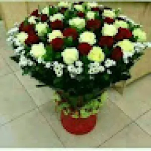 Abu Ahad