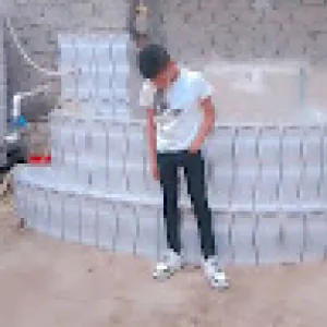 محمد ابوالشيخ