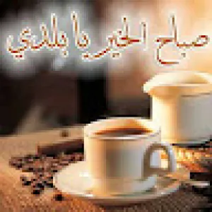 Halit Sy