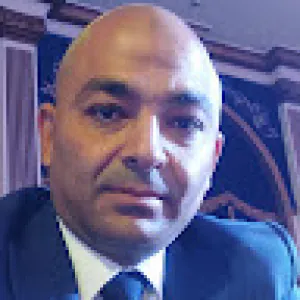 Sayed Elhaggan