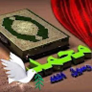 محمد عبد التواب عيسى الهوارى