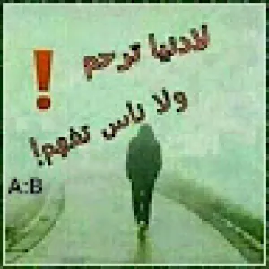 Kofitir Aicha