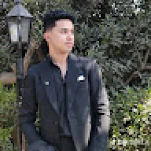 Rashad shokry