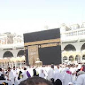 زكي محمد