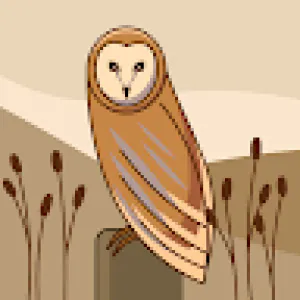روبن هود