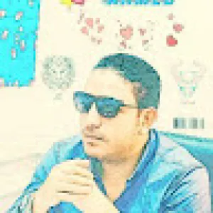 Ahmed Mahmoud Elfalaky