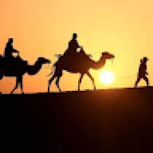 محمد ربيع حيدر