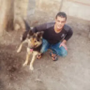 Abdalrhman Afify