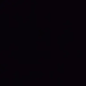ريبو Repo