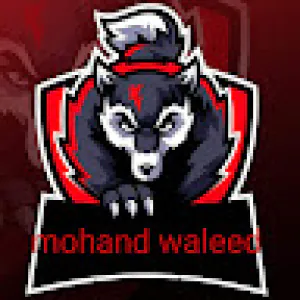 Mohand Waleed